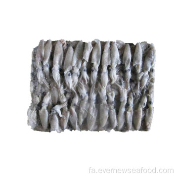 فصل جدید بچه ماهی مرکب منجمد ماهی مرکب لولیگو